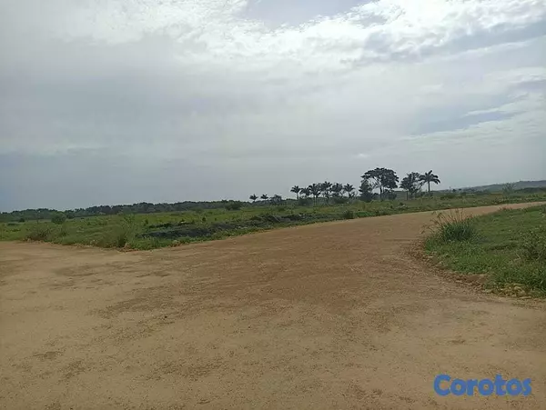 solares y terrenos - 🌿 Terrenos en Plantation – Invierte en el Paraíso 5