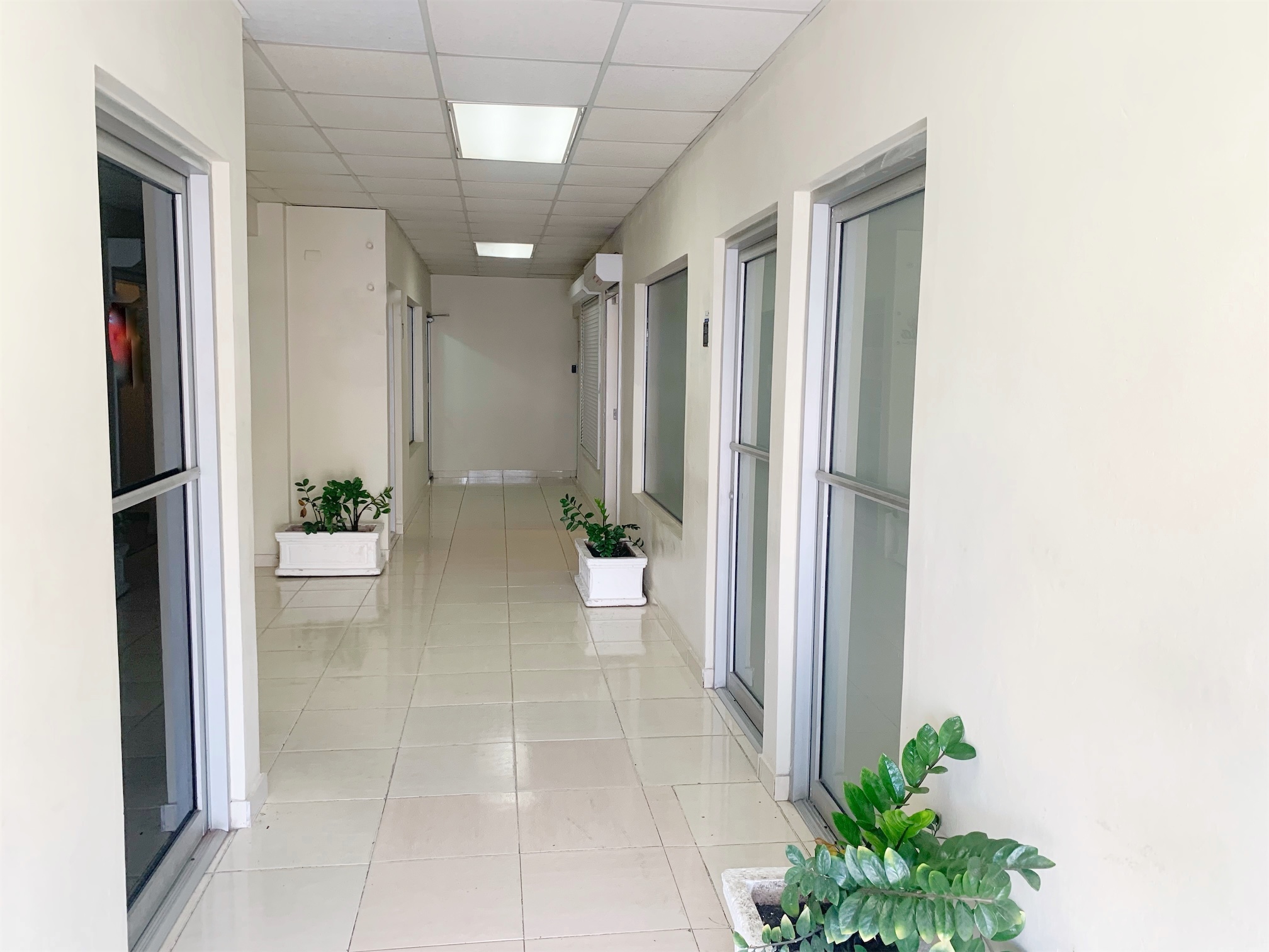 oficinas y locales comerciales - Local en primer nivel  1