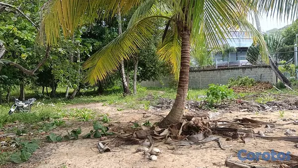 solares y terrenos - En Venta Solar en Playa Coson Samana 4