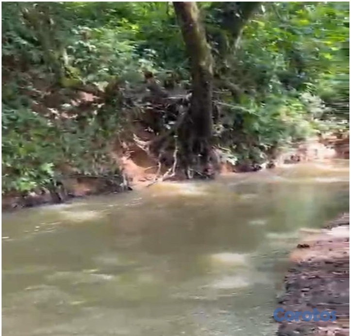 solares y terrenos - Finca 180 tareas, CON RIO dentro en Luisa Blanca, MONTE PLATA, A 20 de la CIRCUN 1