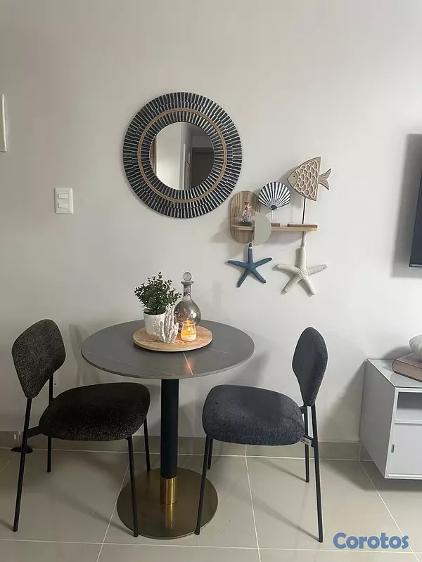 apartamentos - Se renta Apartamento Amueblado en Epic  6