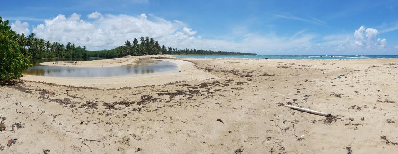 solares y terrenos - Solar con Playa en Miches de 175mil m2 5