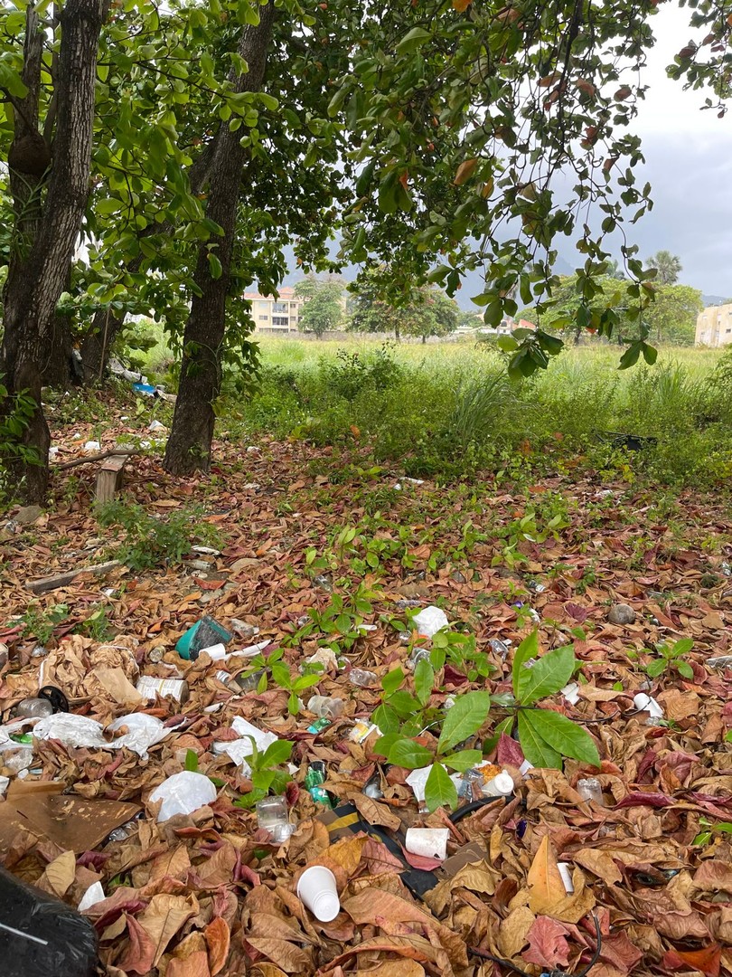solares y terrenos - Terreno de Venta en el Malecon, Puerto Plata  3