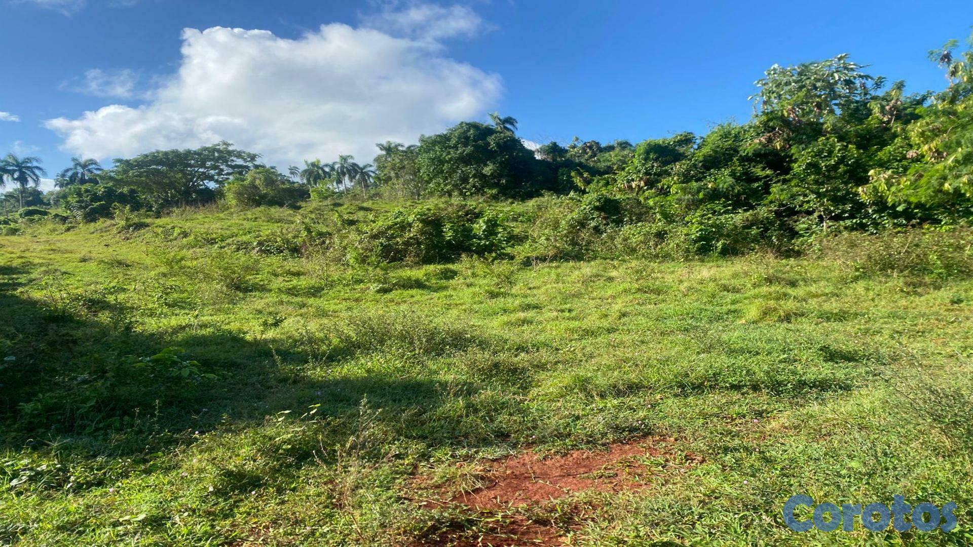 solares y terrenos - Gran Solar en Cabrera Con Vista al Mar 7
