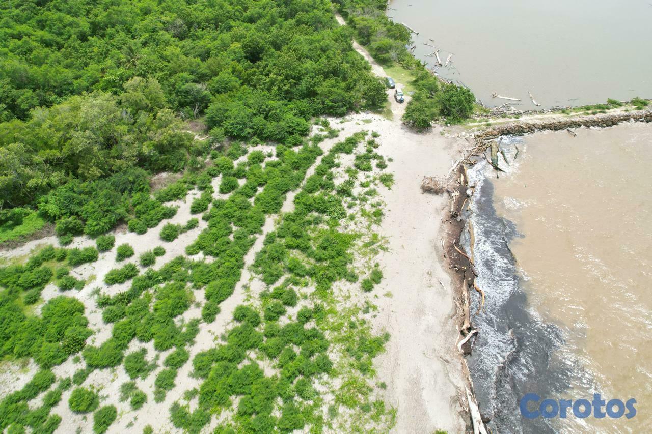 solares y terrenos - Vendo 424,726 Mts.2 de Terreno, con 635 metros lin 3