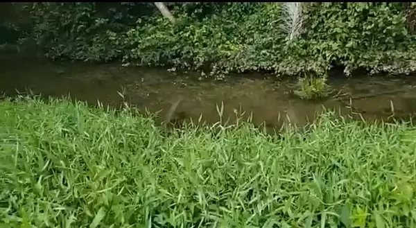solares y terrenos - Finca de 4,480 tareas en Hato Mayor 10