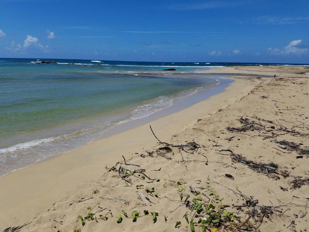 solares y terrenos - Solar con Playa en Miches de 175mil m2 4