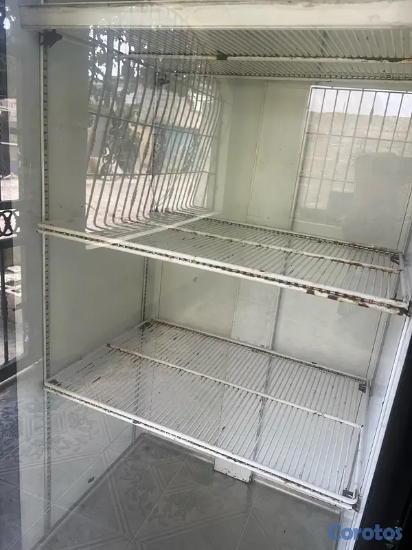 equipos profesionales - Freezer exhibidor  5