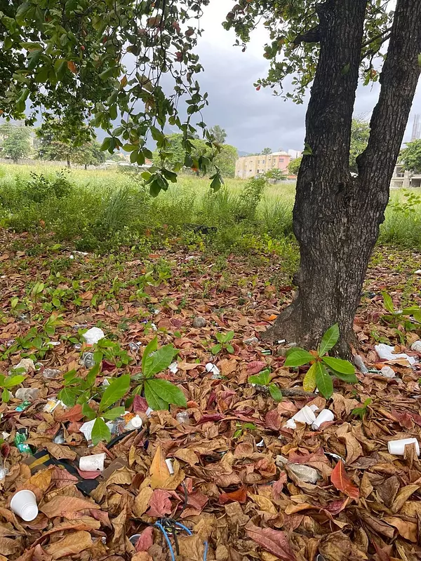 solares y terrenos - Terreno de Venta en el Malecon, Puerto Plata  2