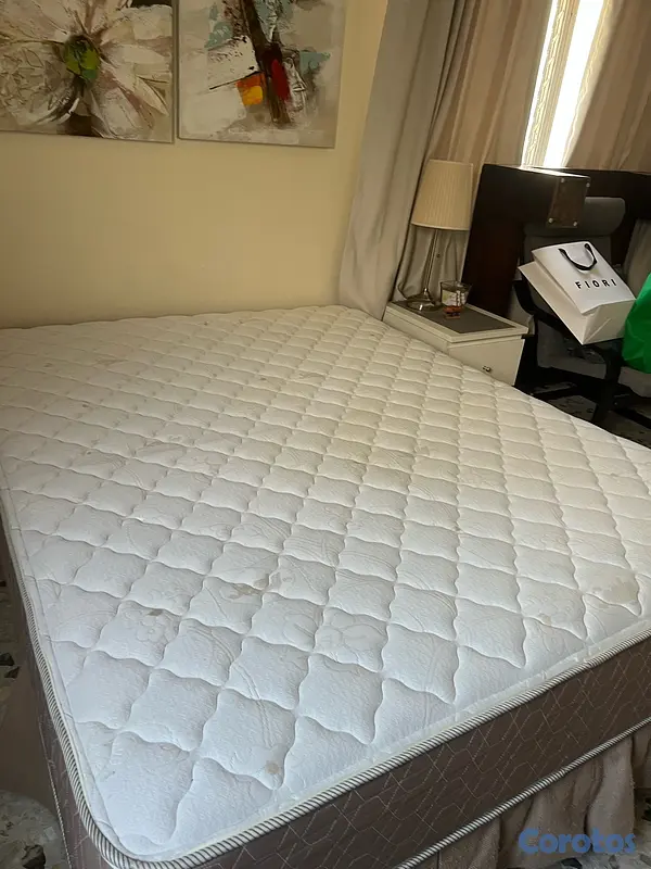 muebles y colchones - Sealy 3