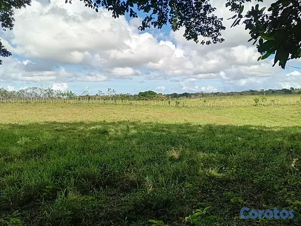 otros inmuebles - finca de 4a tareas en sabana grande de boya  4