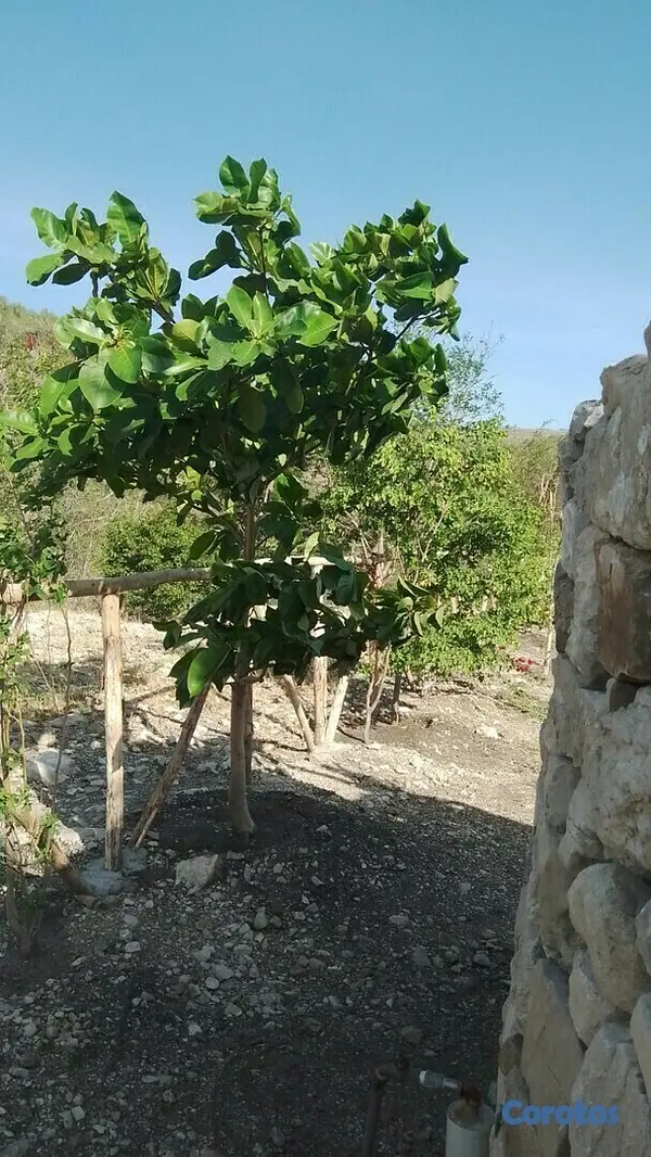 solares y terrenos - Terreno para hacer tu casa de Playa y Montaña 2