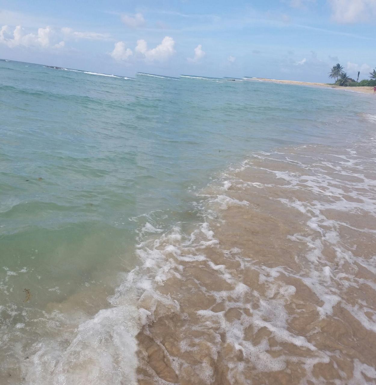 solares y terrenos - Solar con Playa en Miches de 175mil m2 6