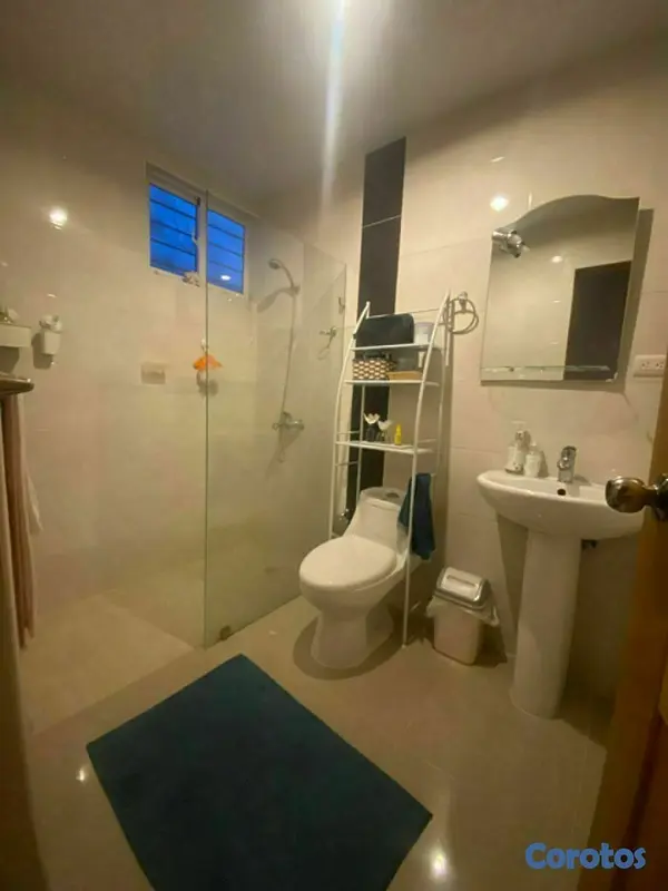 penthouses - Apartamento tipo penthouse en el condado 4