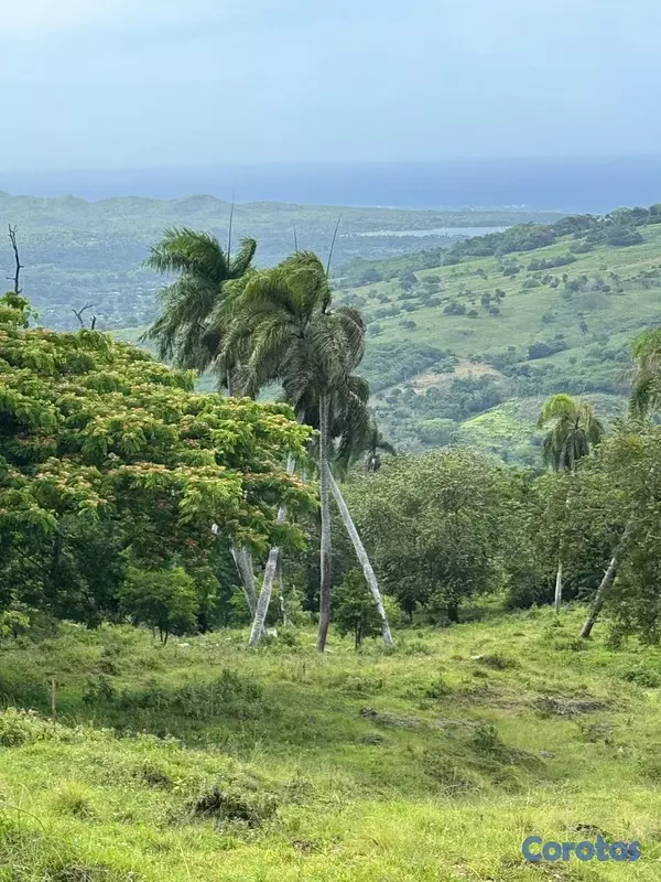 solares y terrenos - 🌿 Tropical Breeze Cupey – Proyecto Ecológico  10