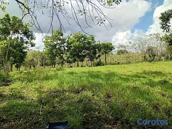 otros inmuebles - finca de 4a tareas en sabana grande de boya  5