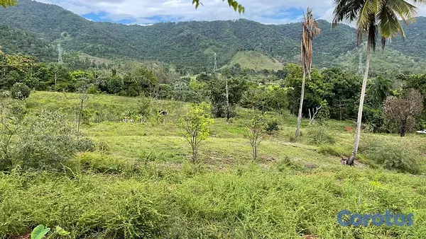 solares y terrenos - Terreno en venta en San Cristobal 3