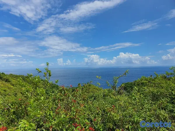 solares y terrenos - Terreno en las Terrenas de 145,664 m².
 5