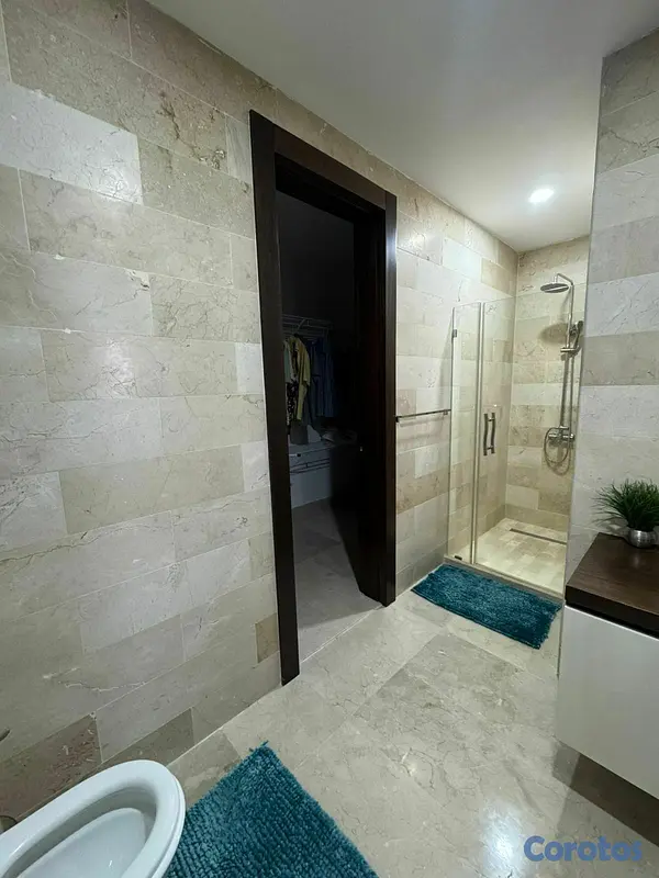 apartamentos - Apartamento Estudio Amueblado Disponible para Alqu 2
