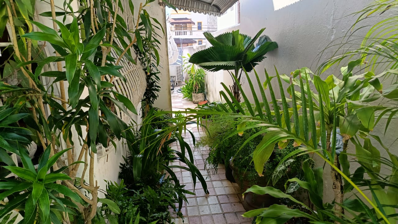 casas - Colinas de los Ríos Hermosa Casa en Venta 6