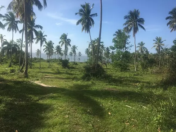 solares y terrenos - Venta, Terreno en Primera Línea de la Playa, Sanchez, Samaná 1