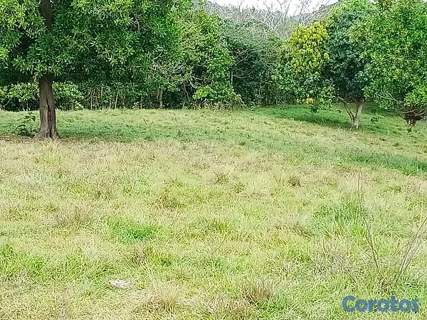 solares y terrenos - finca de 100 tareas con vocación agrícola y ganadera en yamasa  10