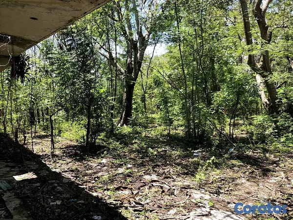 solares y terrenos -  VENDO SOLAR / TERRENO EN NIGUA SAN CRISTOBAL 6