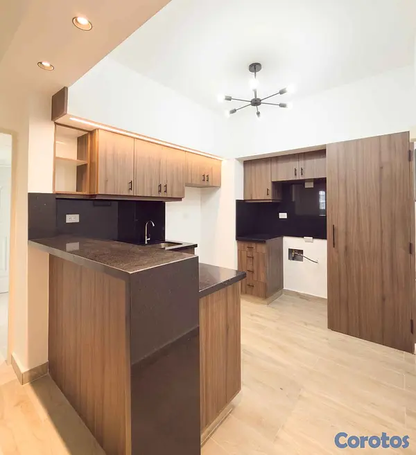 apartamentos - Apto remodelado en Piantini de 2 habitaciones, 2 b 8