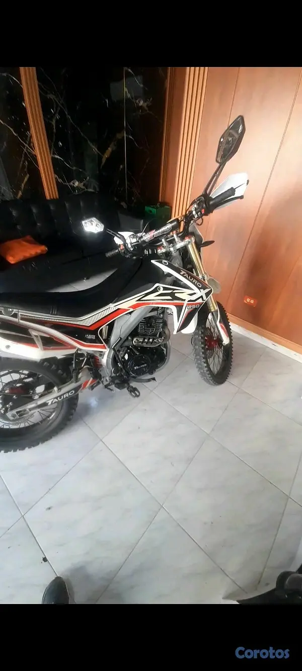 motores y pasolas - Tauro CRX250 2023 7