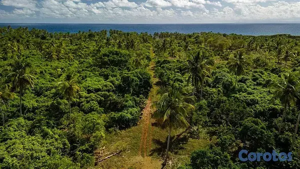 solares y terrenos - Samaná, Ermitaño - Proyecto de terrenos en Santa Bárbara de 2,8671.13 m² 6
