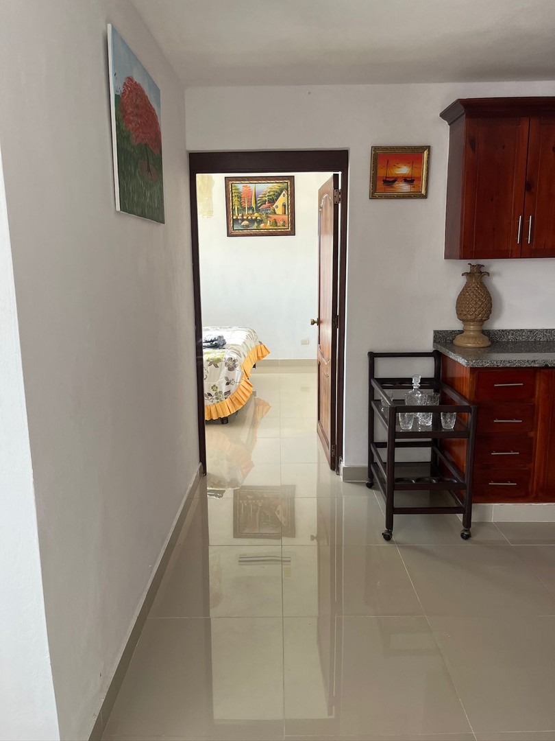 apartamentos - Alquilo apartamento amueblado en San Isidro 6