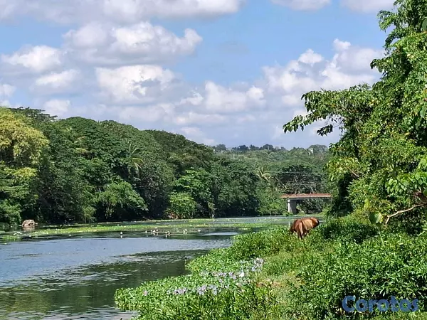 solares y terrenos - Vendo Terreno en San Cristóbal, Nigua, San Cristóbal  14