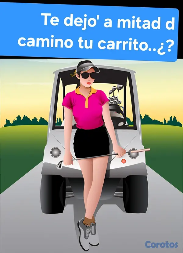 servicios profesionales - TE DEJO' A MITAD D CAMINO TU CARRITO..¿?  PUEDE DE 1