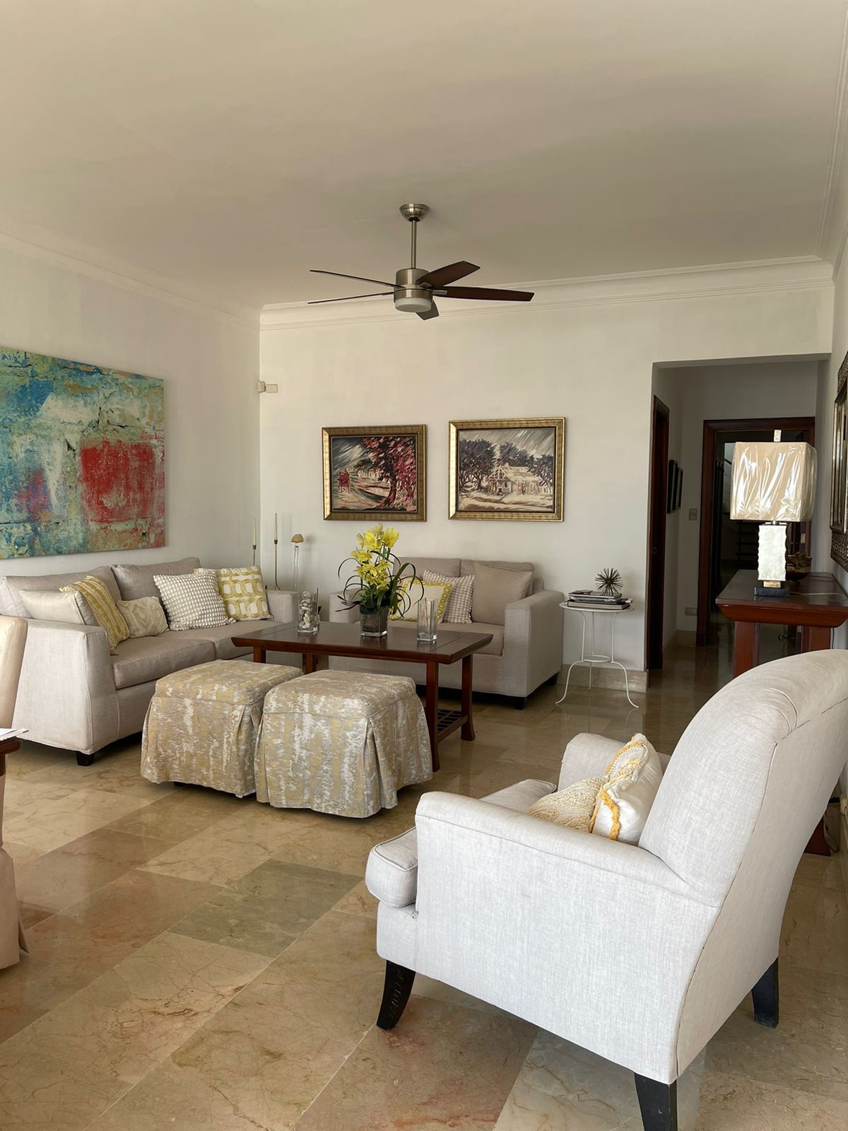 penthouses - Alquilo amueblado Pent House en Bella Vista 1