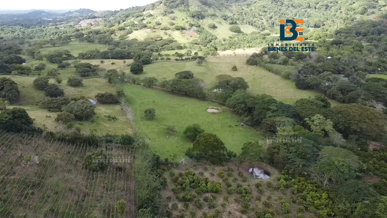 solares y terrenos - 🔴VENDO de Oportunidad 32 Tareas de Tierra. 2