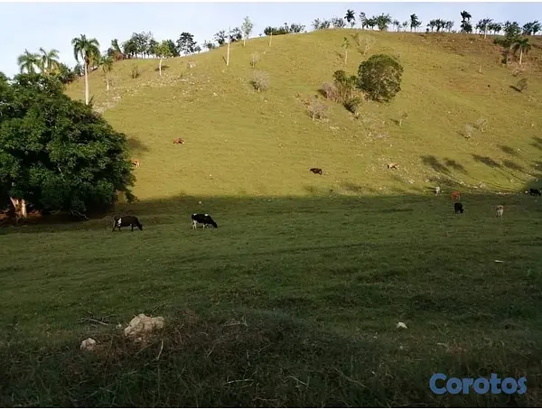 solares y terrenos - finca de venta en jamao al norte  9