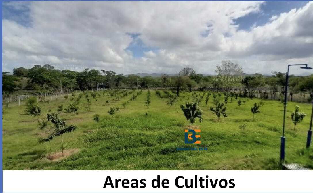 casas vacacionales y villas - Finca-Hacienda HATO MAYOR con 36 tareas de Tierra 8