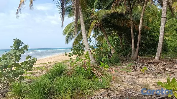 solares y terrenos - En Venta Solar en Playa Coson Samana 5