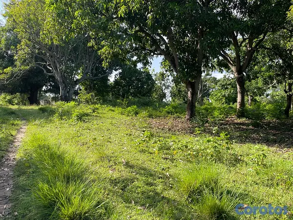 casas - Oportunidad! 38,000 m² en Nigua - Ideal para Naves o Parqueo 4