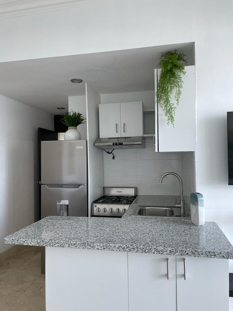 apartamentos - SIN INTERMEDIARIOS RENTO APARTAMENTO CERCA TETRO NACIONAL, PISO NO.12 6