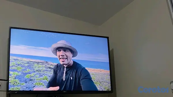 electrodomesticos - televisor LG 43 pulgadas  6