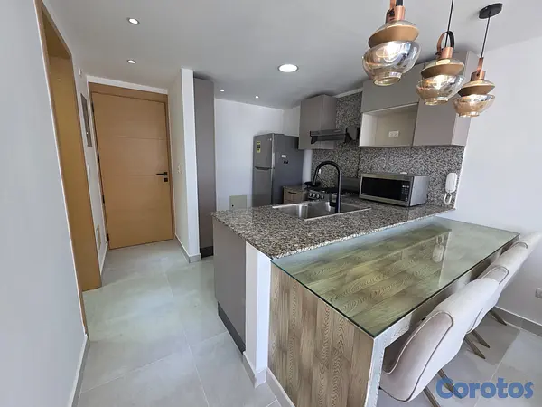 apartamentos - Apartamento en alquiler amueblado, Evaristo Morale 5