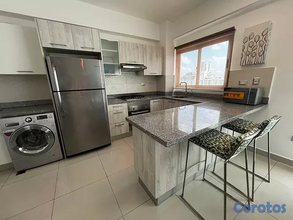 apartamentos - Apartamento en Alquiler en Piantini Amueblado de U 10