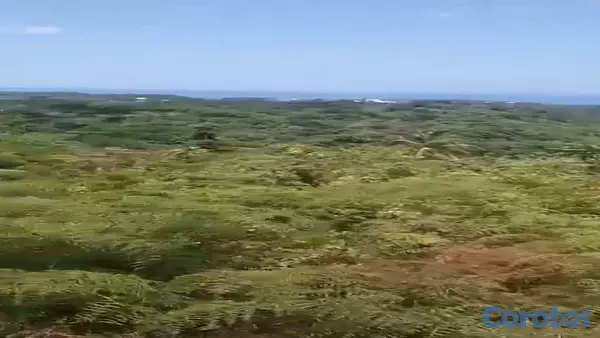 solares y terrenos - Terrenos en Las Terrenas 2