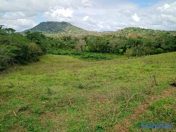 solares y terrenos - finca de 100 tareas con vocación agrícola y ganadera en yamasa  9