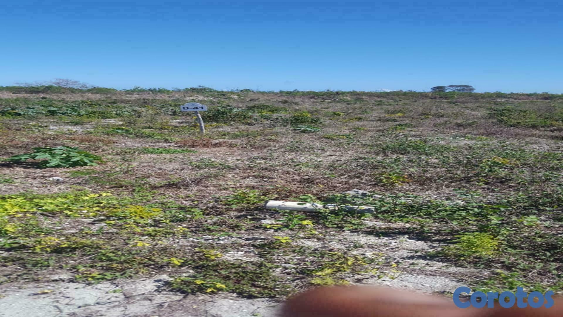 solares y terrenos - Vendo En Punta Cana (White Sand) 2