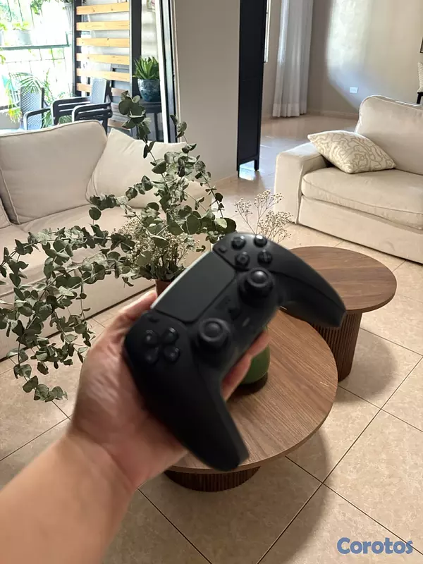 consolas y videojuegos - PS5 

 4