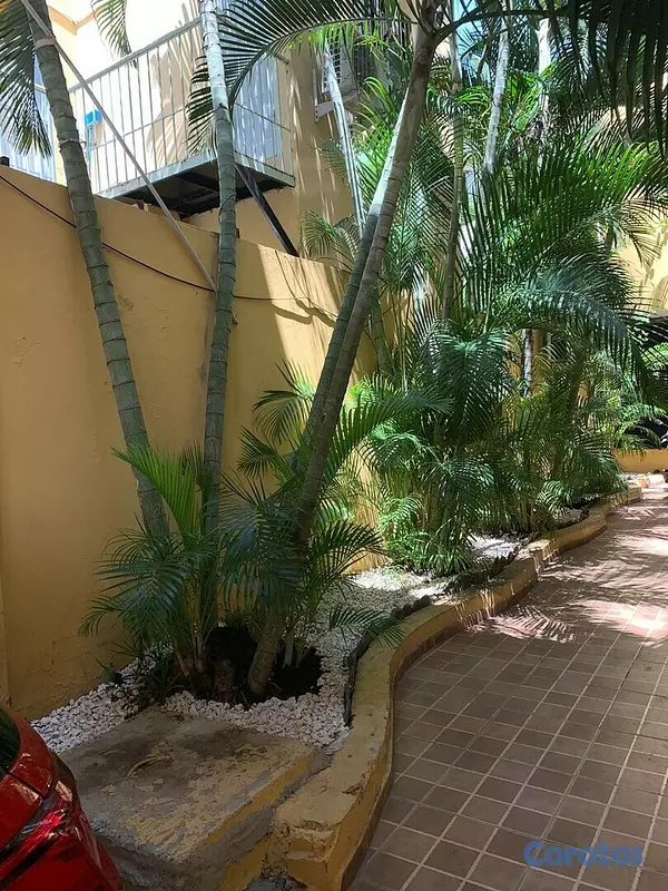 apartamentos - ZONA UNIVERSITARIA APARTA ESTUDIO W-4H 8