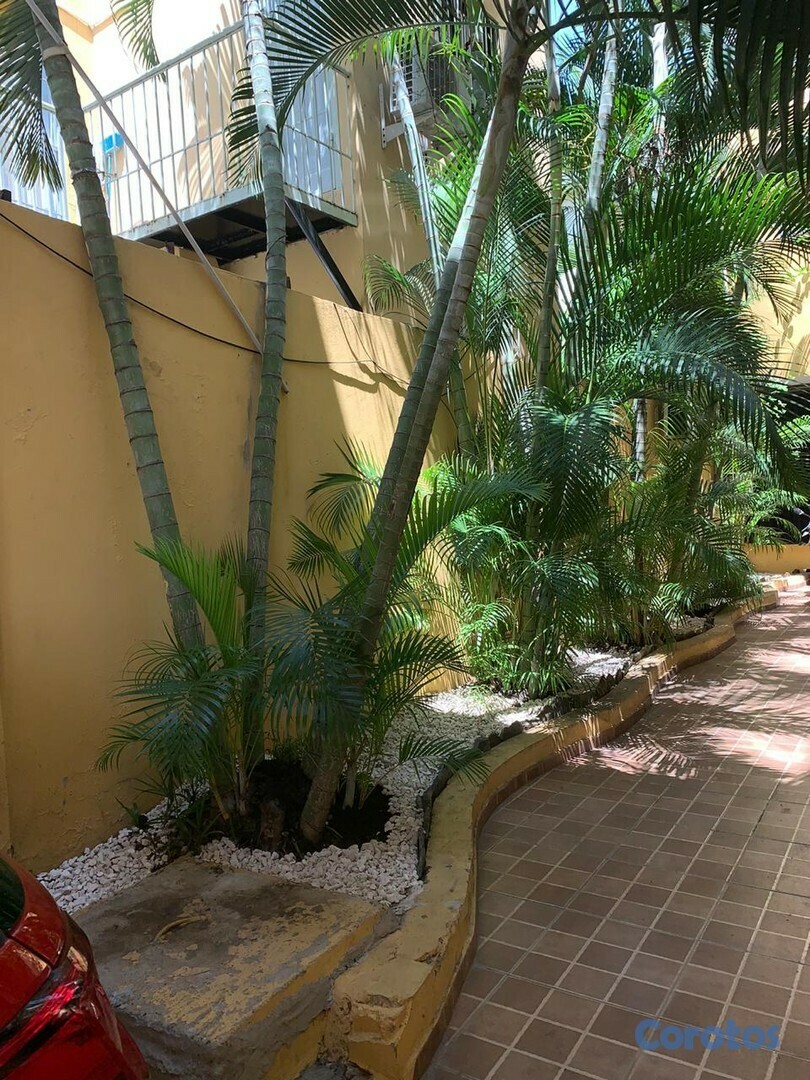 apartamentos - ZONA UNIVERSITARIA APARTA ESTUDIO W-4H 8