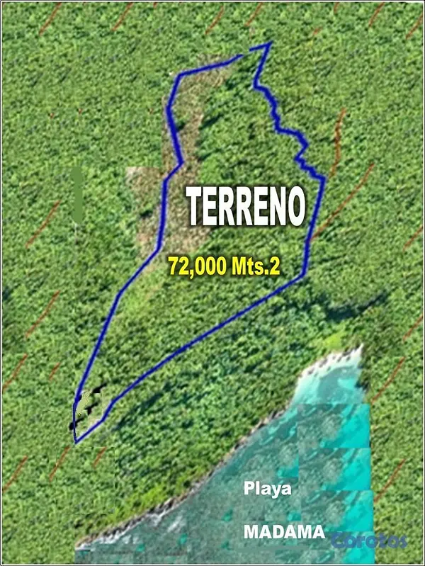 solares y terrenos - Vendo 72,185 Mts.2 CON PLAYA a 100 Mts. (Playa MADAMA), LAS GALERAS, 50% POR DEB 10